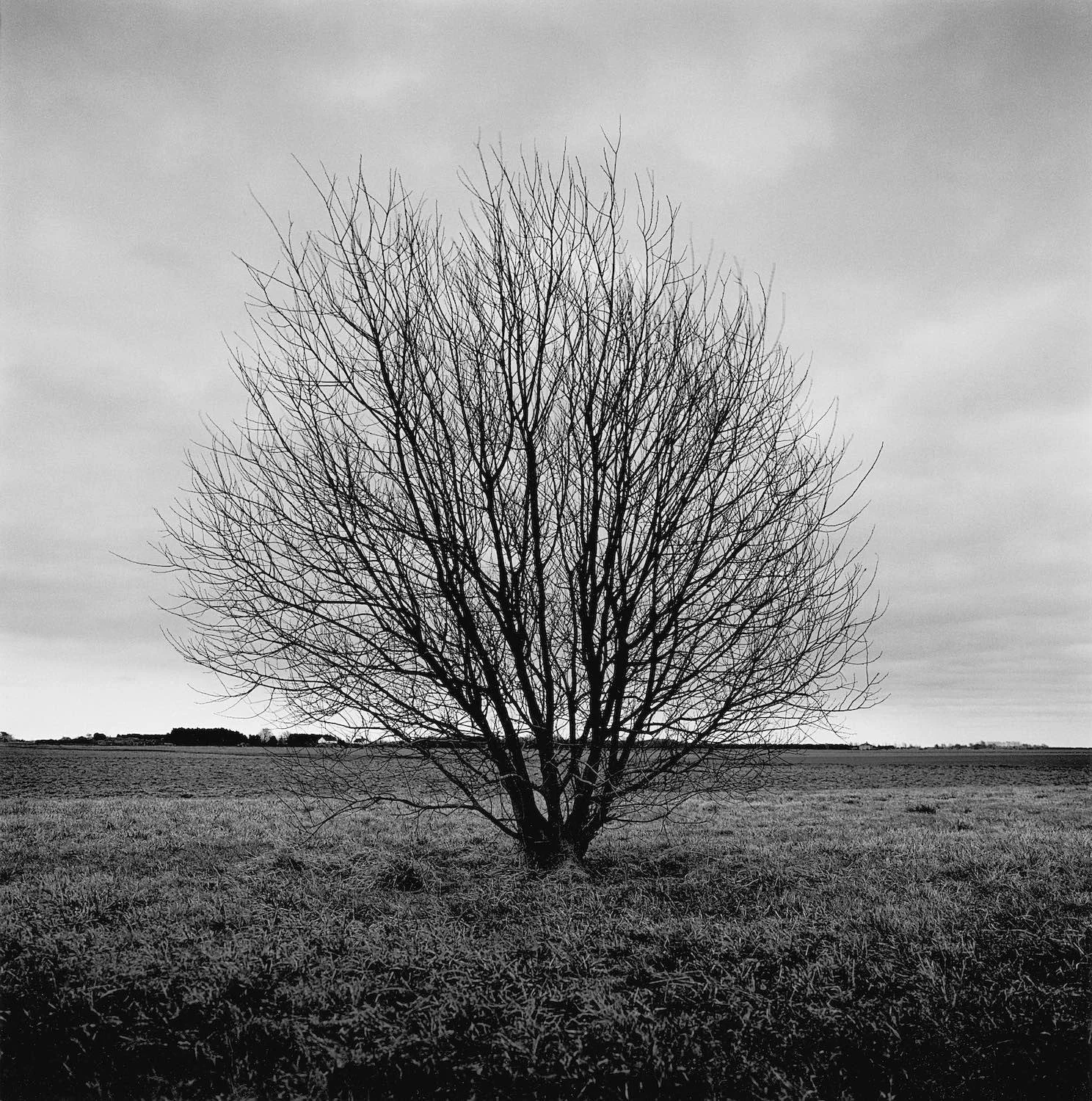 DRAINED — PAUL HART